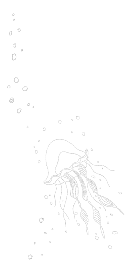 A white line-drawing of a translucent jellyfish, simming in the ocean
		with lots of bubbles.