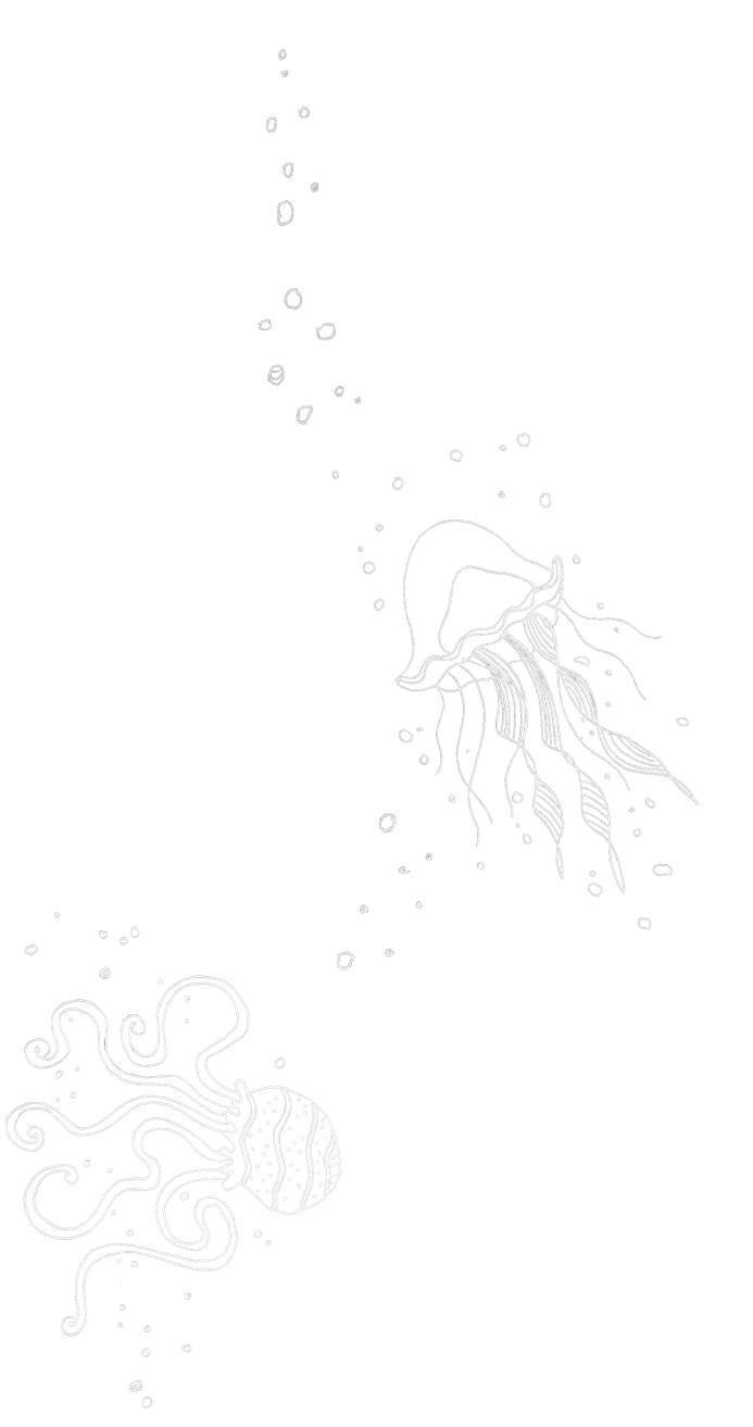 A white line-drawing of an octopus and a jellyfish against the dark
    blue-green background.