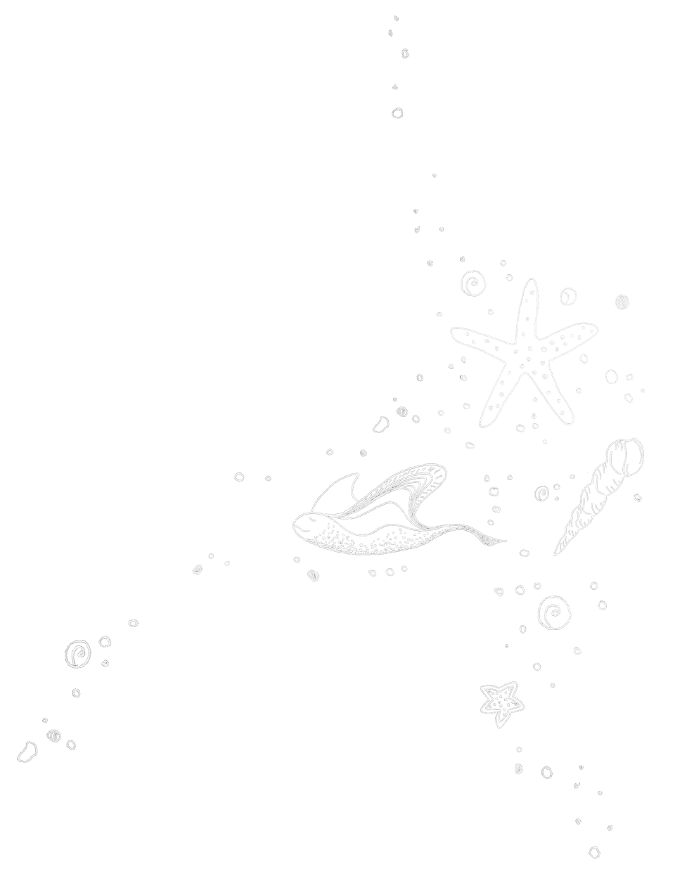 A white line drawing of a ray, and various shells and lots of bubbles.